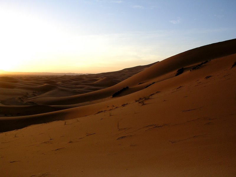 012 Sahara - Erg Chebbi - sunrise 8.JPG