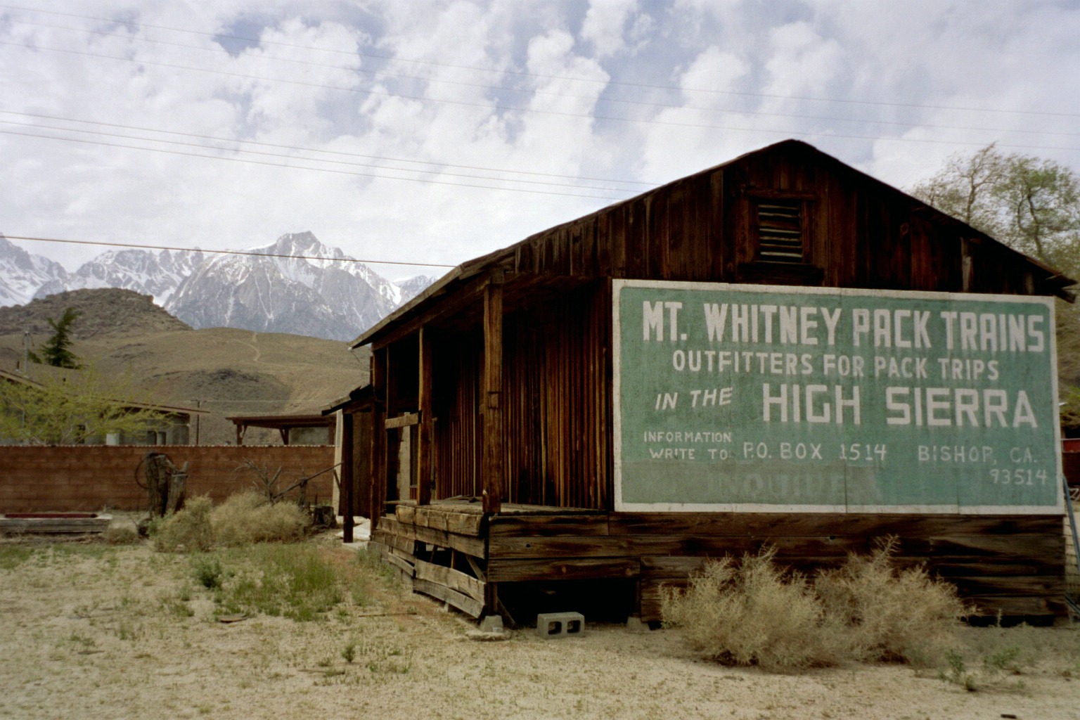 Lone pine, Ca.