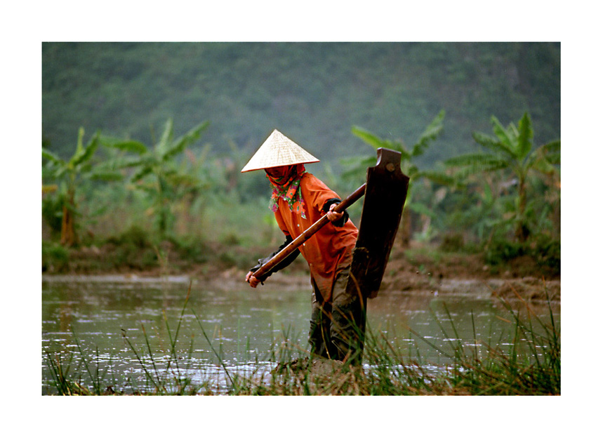 Perfume pagoda, Vietnam
