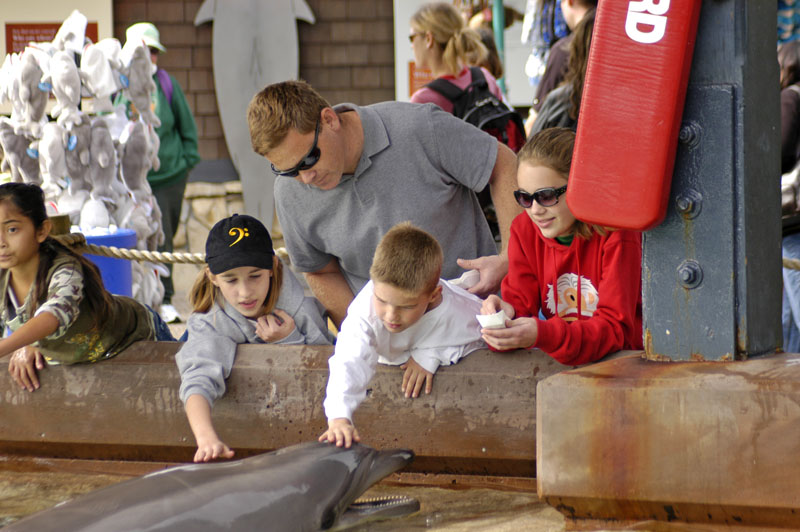 Sea World 070
