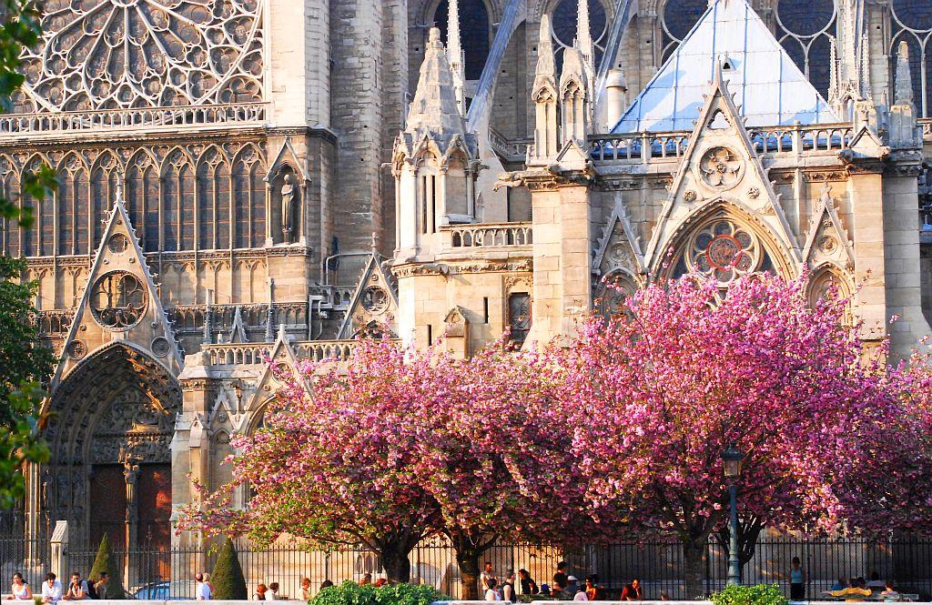 Notre-Dame de Paris en fleur.