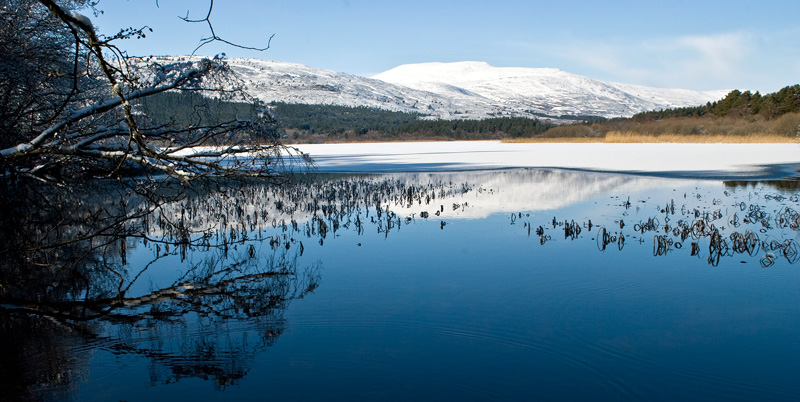 23_Feb_2010 Loch Davan