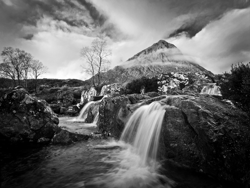 Brooding Buchaille