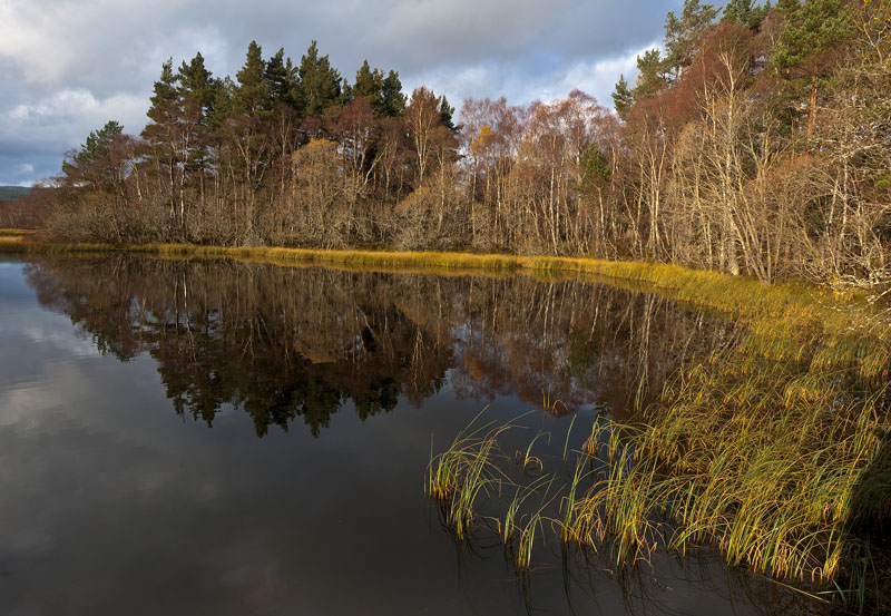 12-Nov-2011 Dinnet