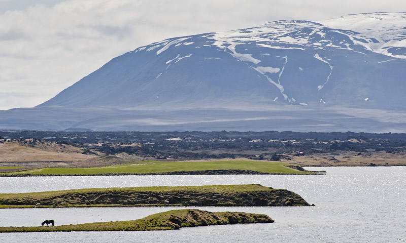 Myvatn