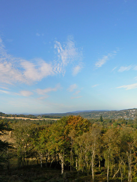07a_Oct_07 <br> Tollohill Woods