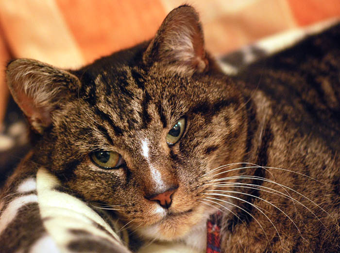 25_Feb_08<br>Knowing Look
