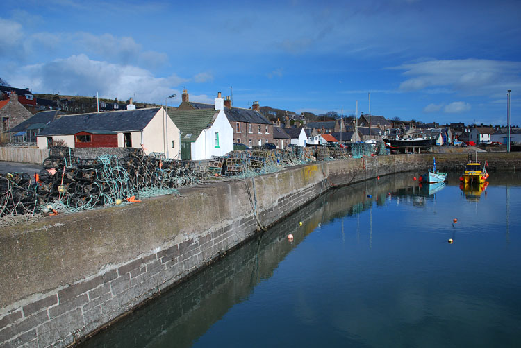 02_Mar_08_002<br>Johnshaven