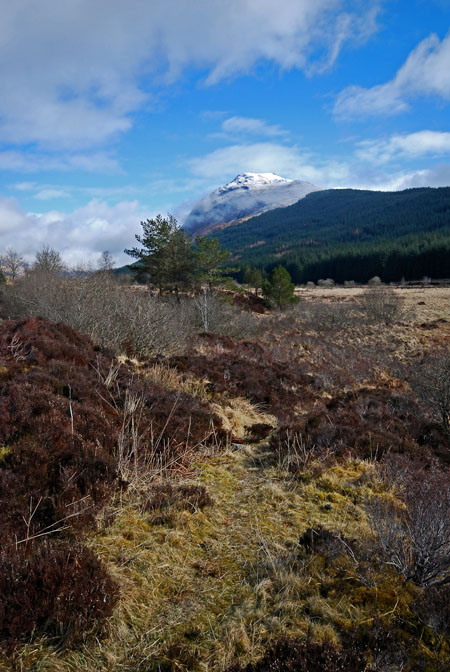 2008_03_27_0046<br>Ben Lui