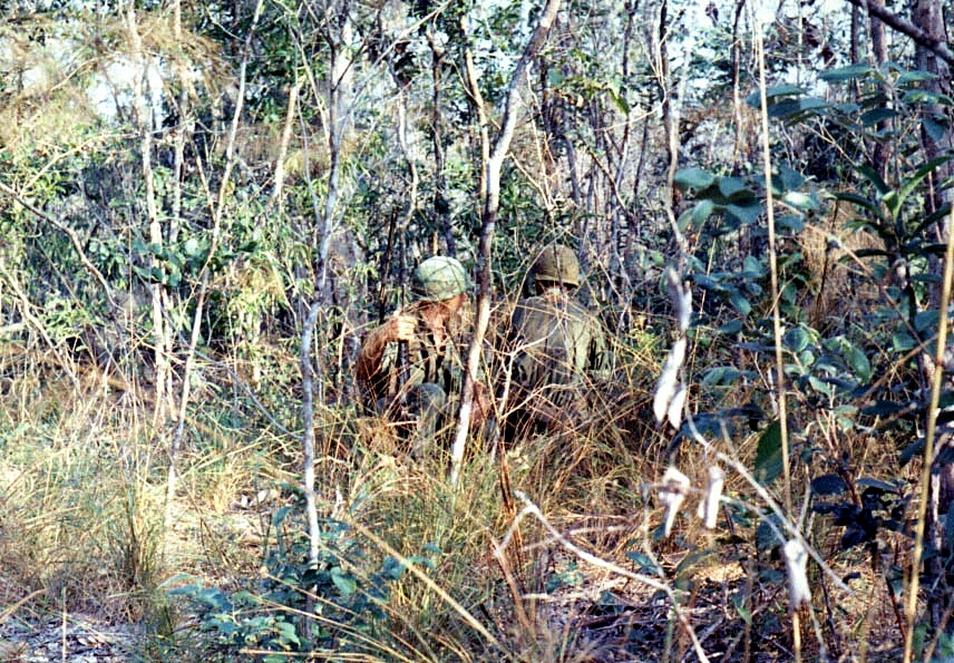 Patrol