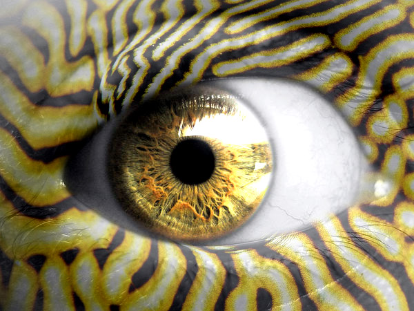 angry eye