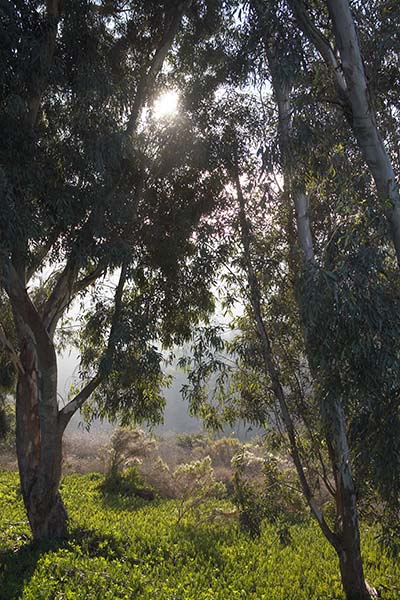 Even idyllic