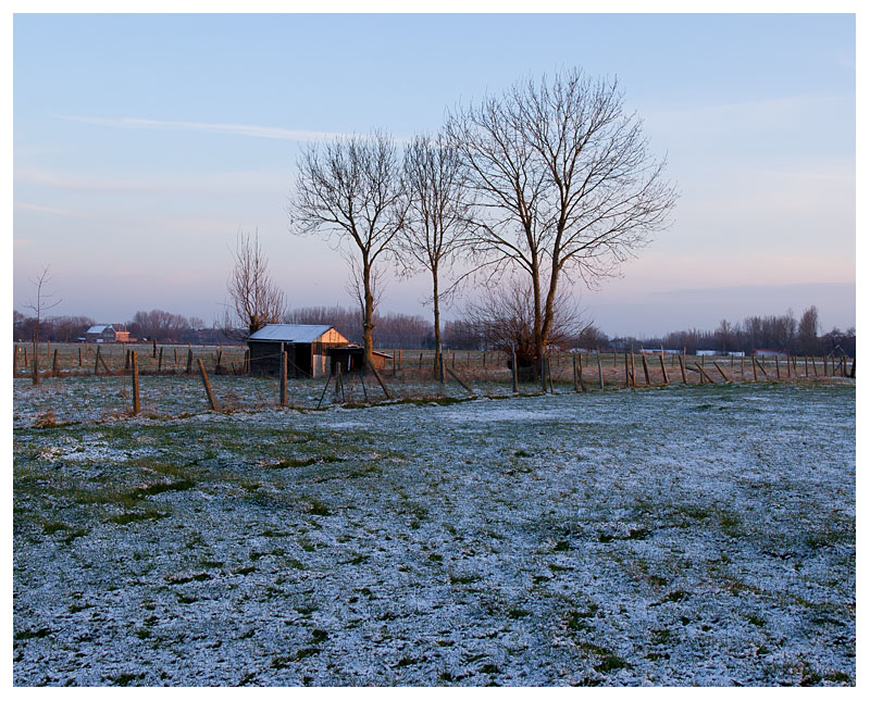 Winterevening