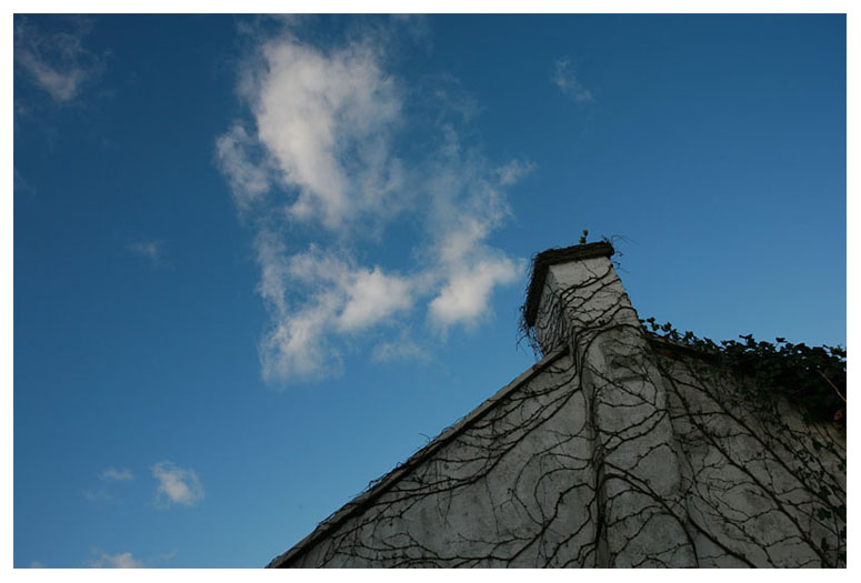 White smoke?