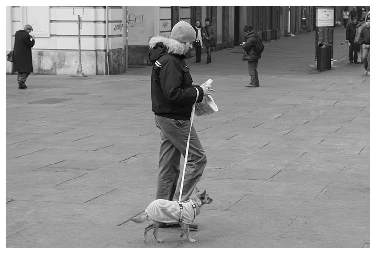 cave canem