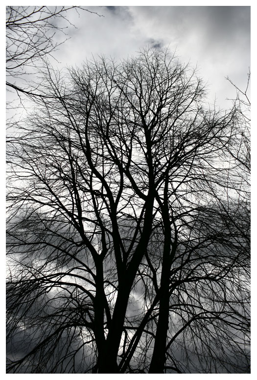 stormy weather