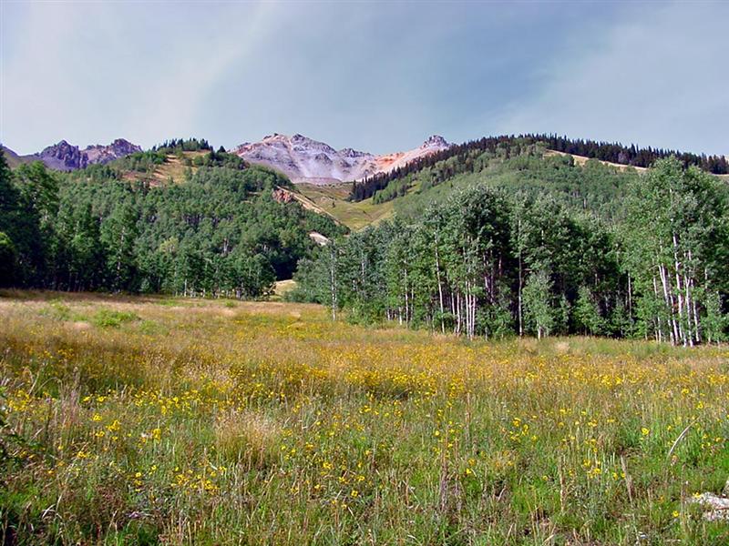  Ophir Pass1