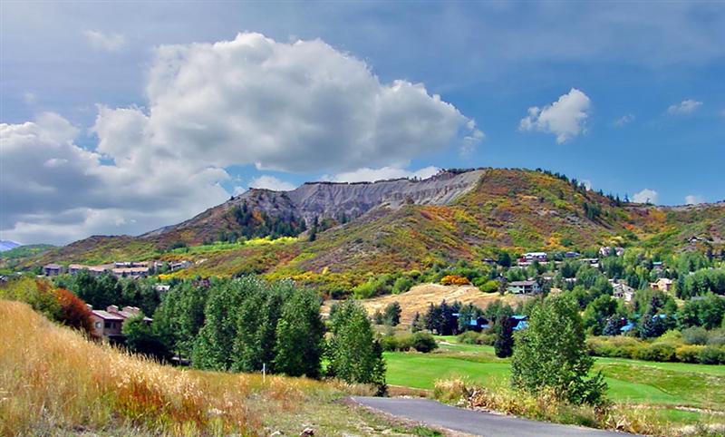   Aspen
