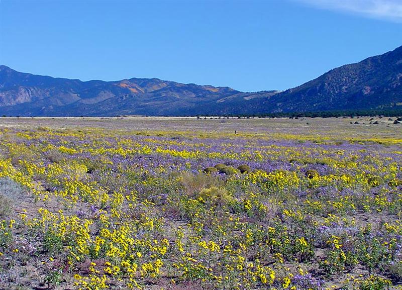  Great Sand Dunes NP 