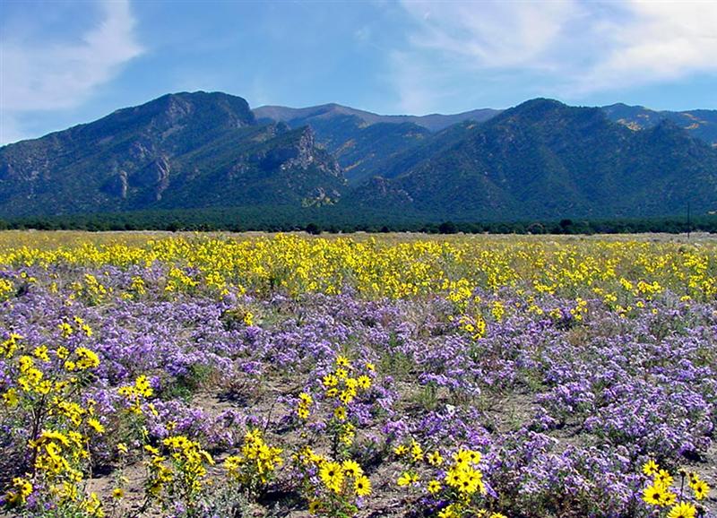  Great Sand Dunes NP 