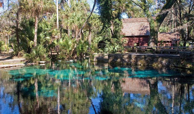  Juniper Springs 2