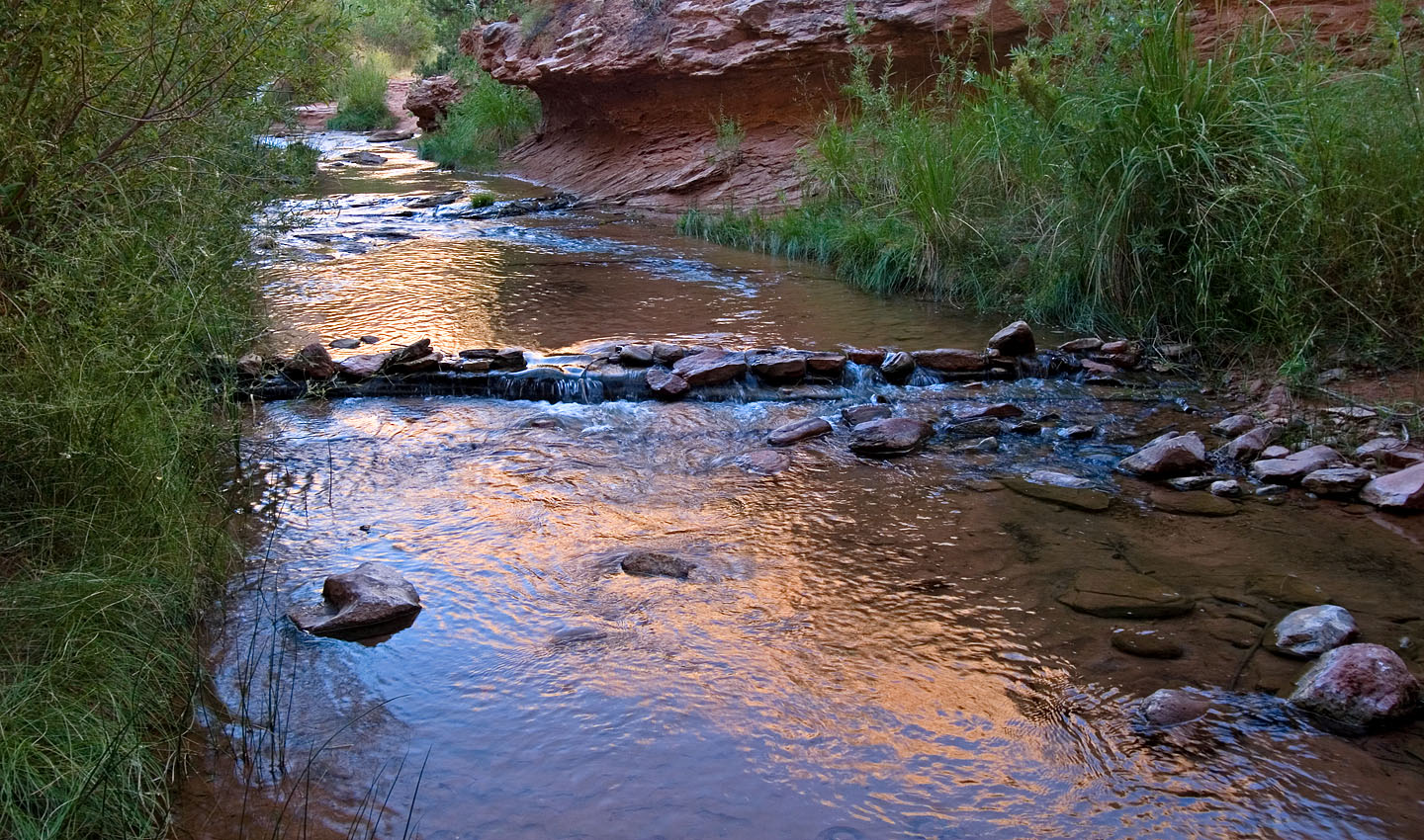 Negro Bill Canyon