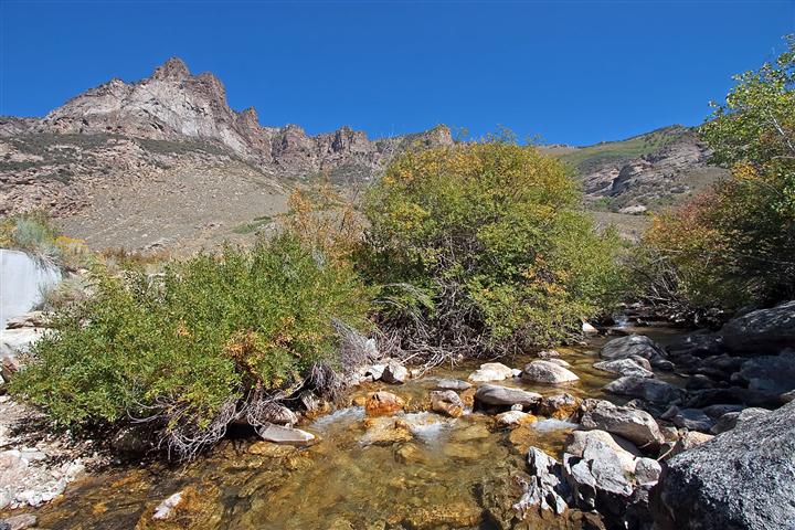 Lamoille Canyon