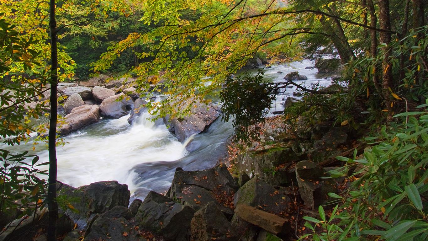 Swallow Falls SP