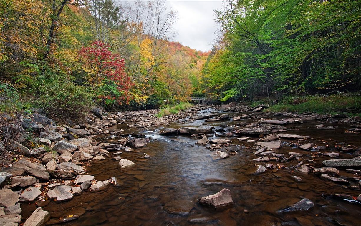 Seneca Creek