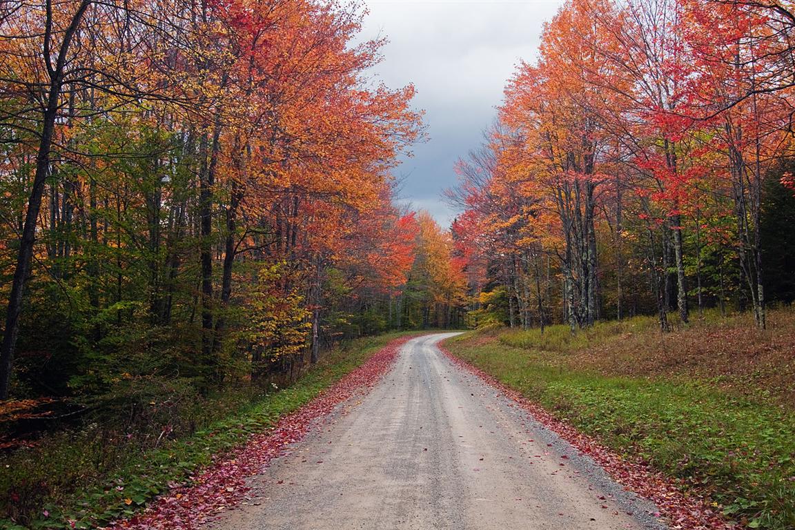 Spruce Knob