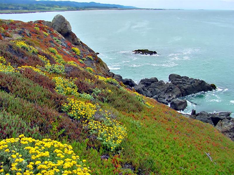  Santa Cruz