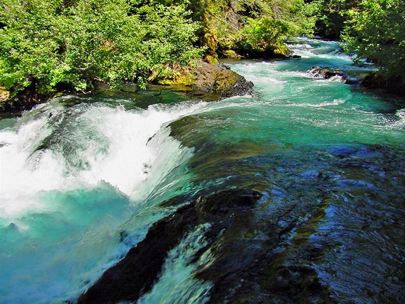 McKenzie River