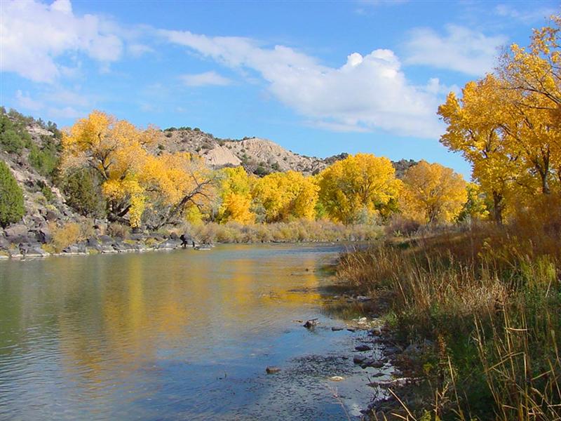 Rio Grande