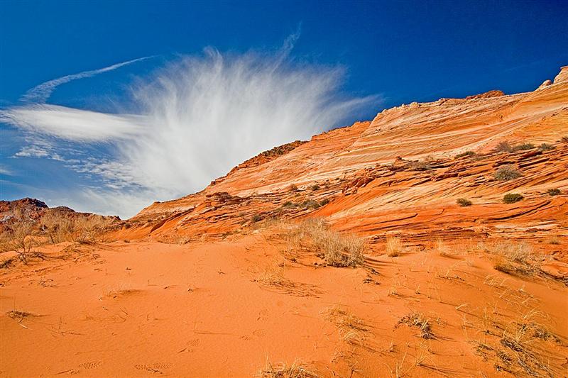N Coyote Buttes Trail 21