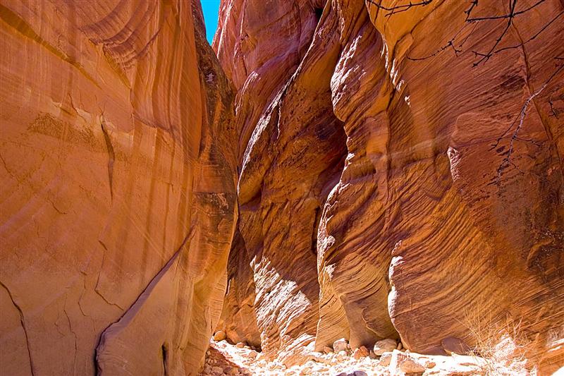  Buckskin Gulch 9