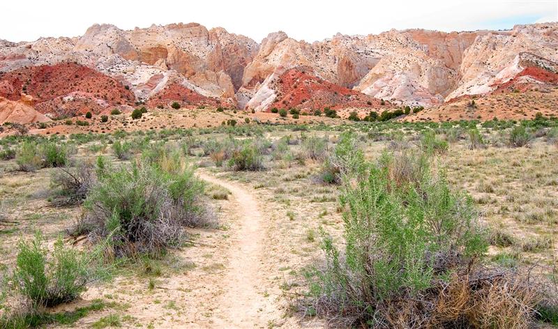 Surprise Canyon Trail 1