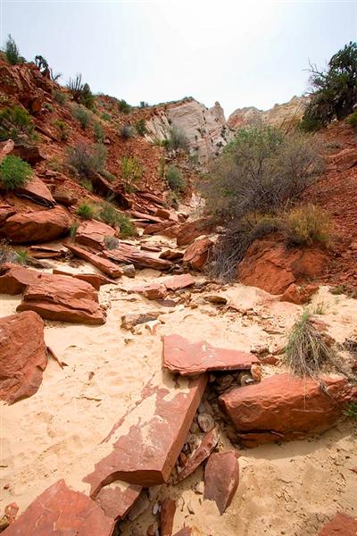 Surprise Canyon Trail 2