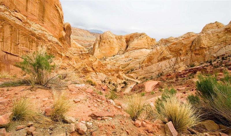  Burr Trail 