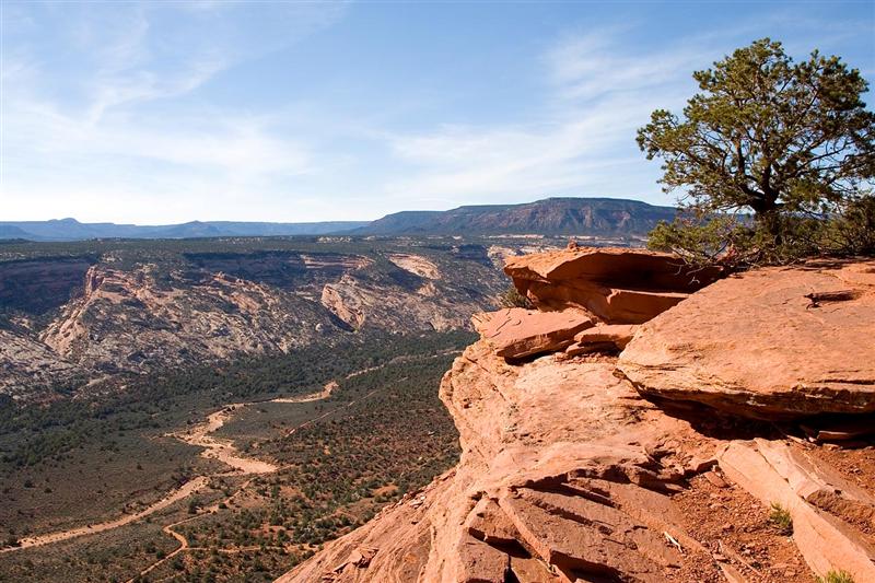  Comb Ridge 