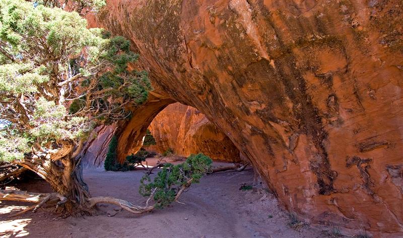 Navajo Arch