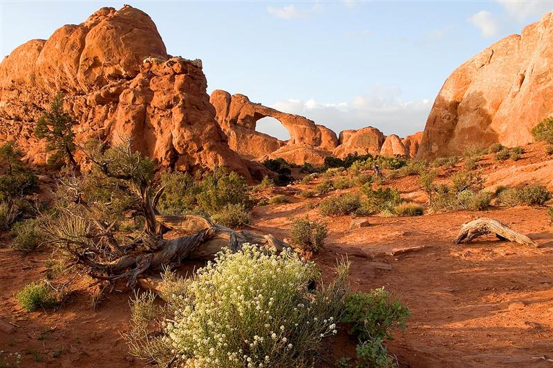 Skyline Arch 1