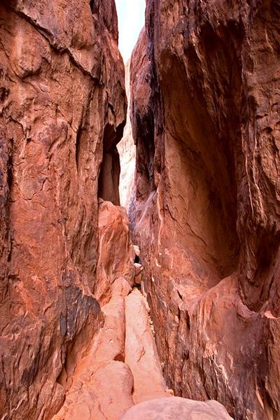 Fiery Furnace 6