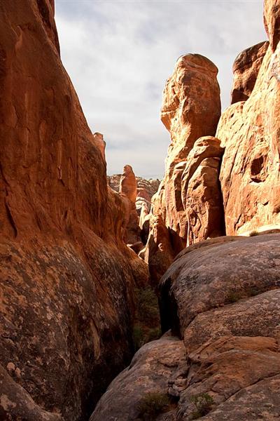 Fiery Furnace 7