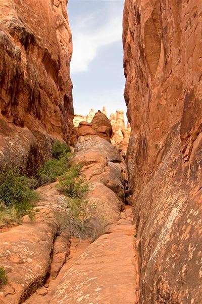 Fiery Furnace 8