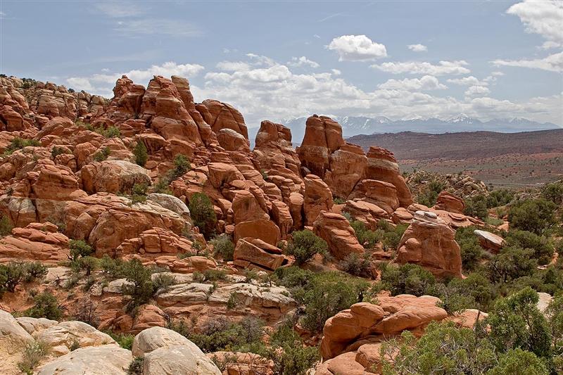 Fiery Furnace 12