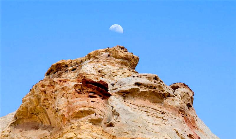 Head of Sinbad 3