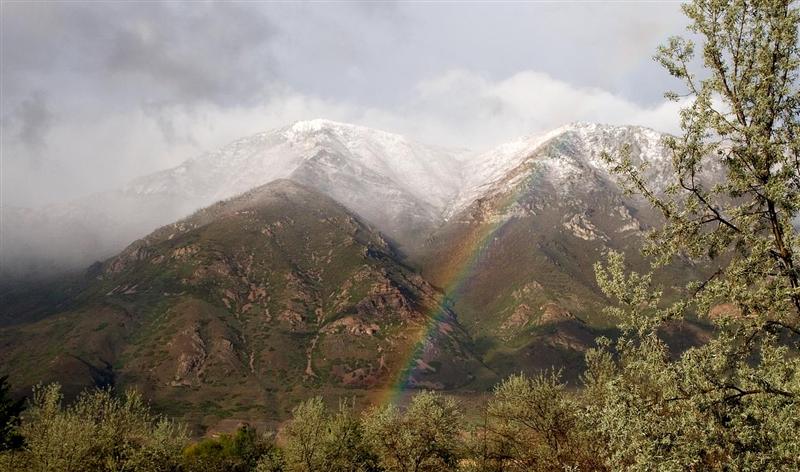Provo