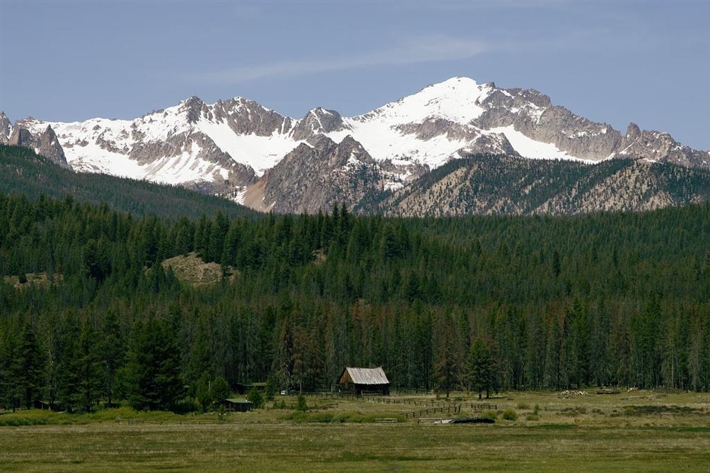  Sawtooth NRA 4
