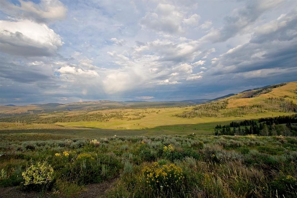 Hayden Valley