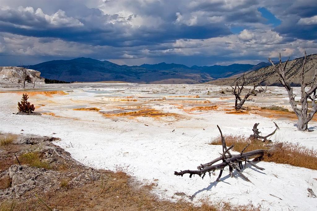Mammoth Hot Springs 